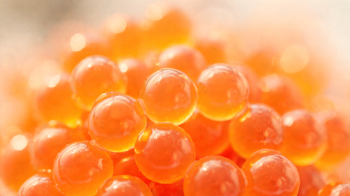 Liposomales PDRN