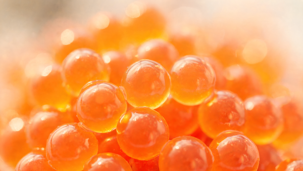Liposomales PDRN